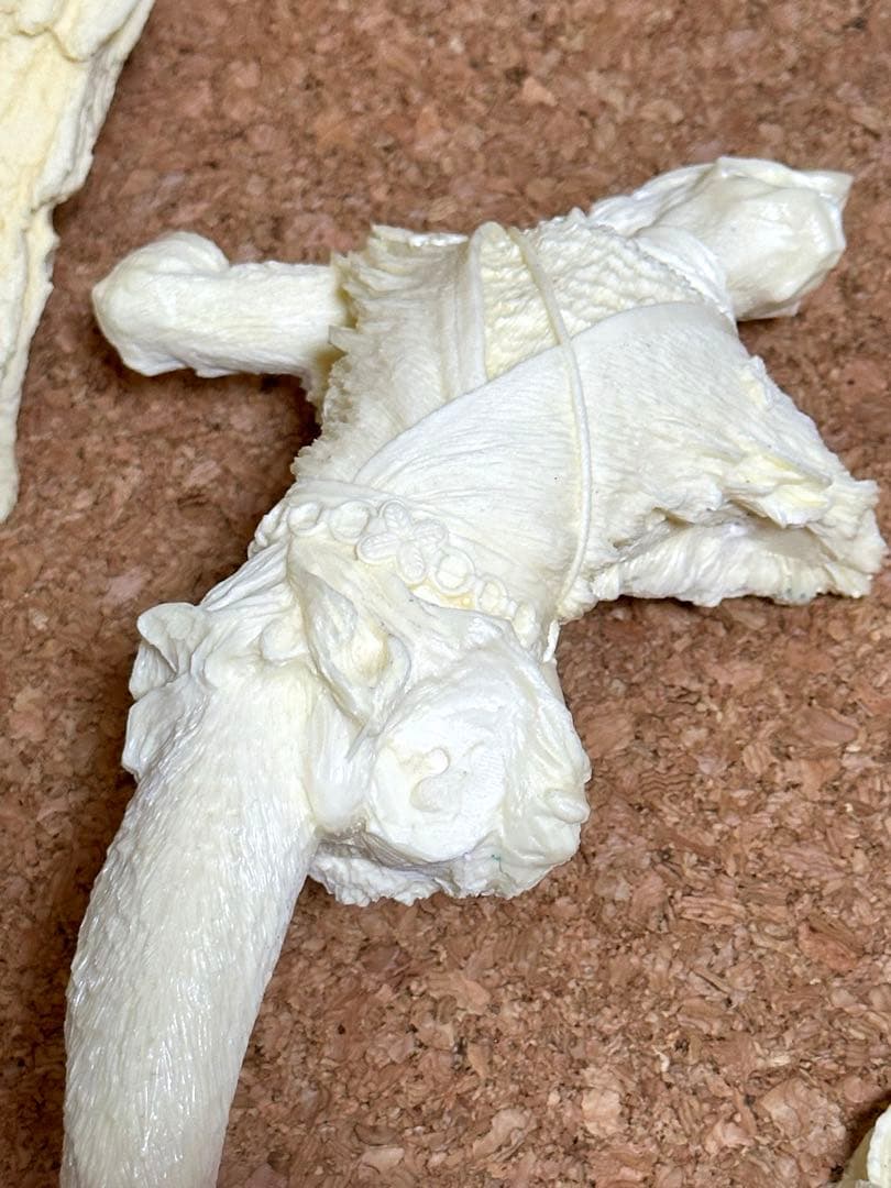 変身忍者　嵐　ガレージキット　原型師　竹谷隆之