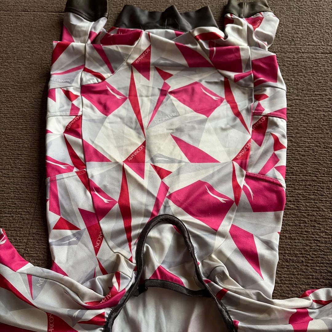 アルファイコン　フルドッグガード