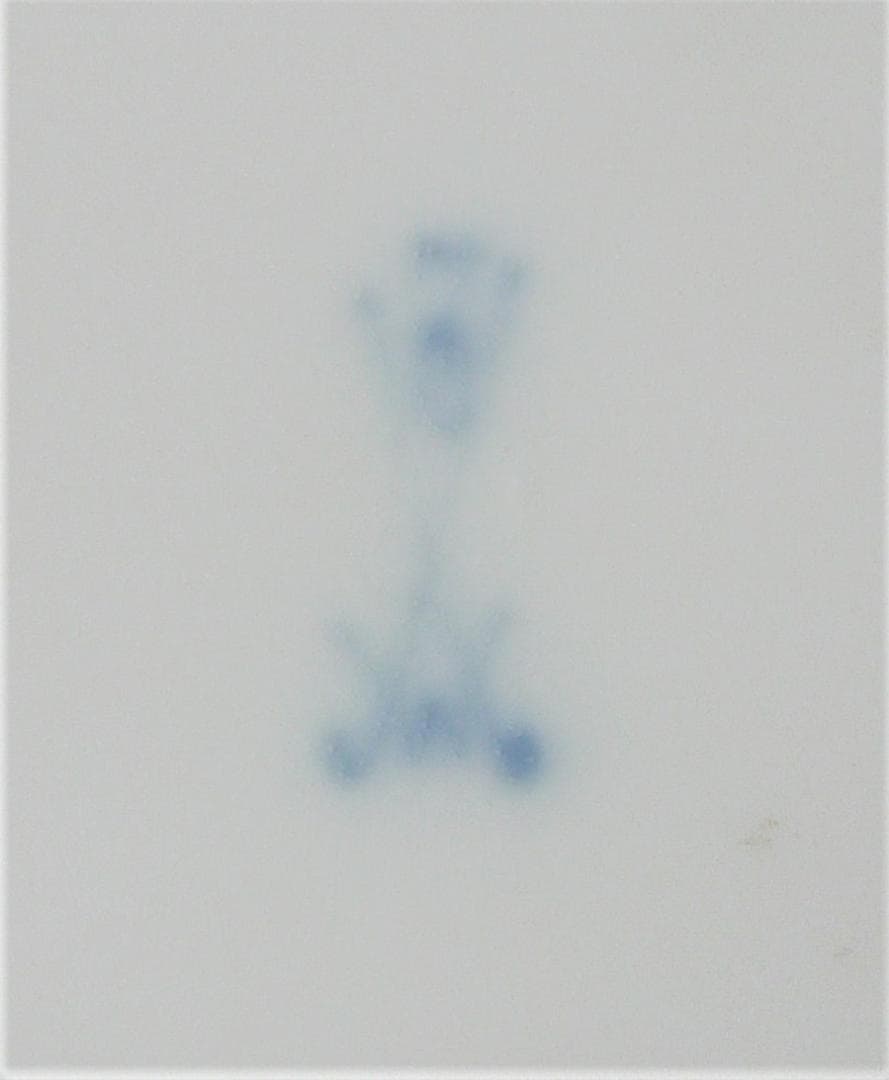 [アンティーク] 港湾風景と花が描かれた絵皿