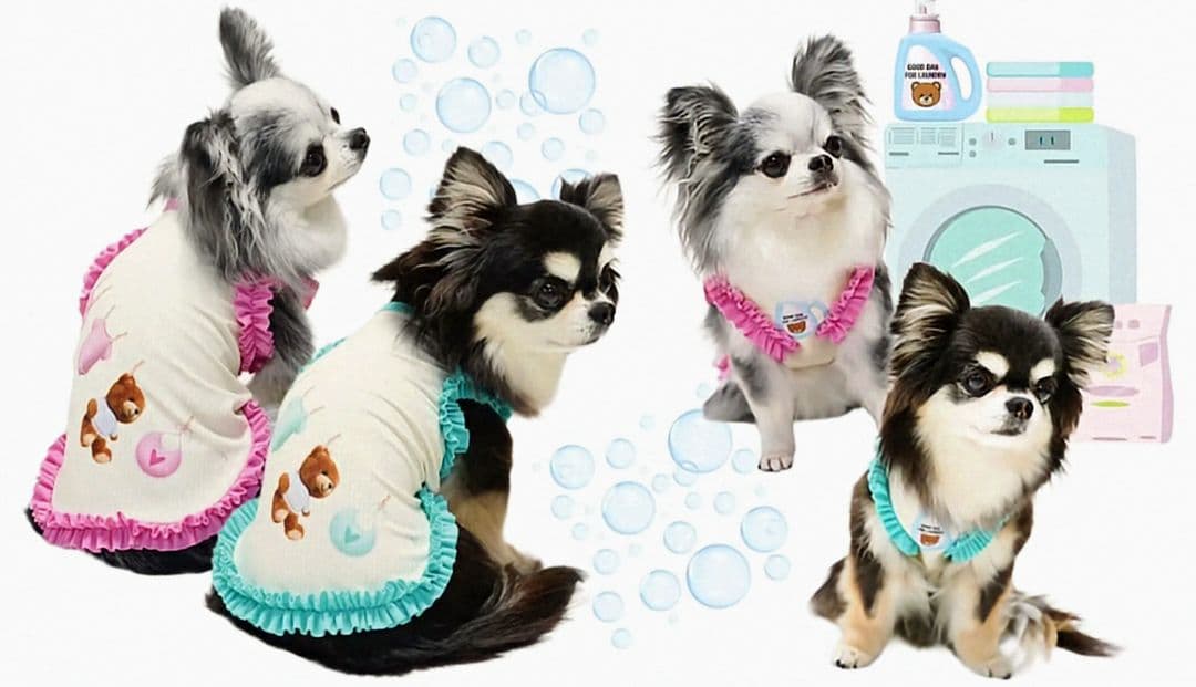 F Laundry BearフリルタンクSS＆マット セットcircusサーカス