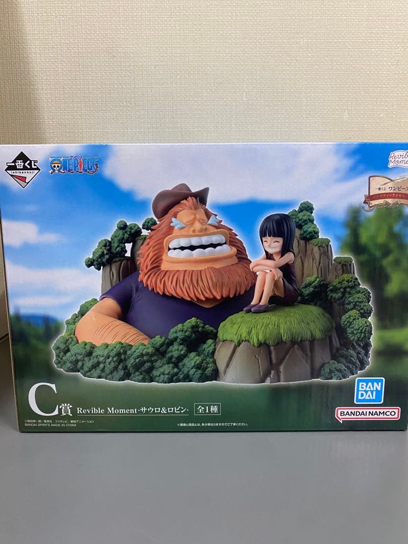 一番くじ　D賞ワンピース　ギガントネーム　C賞ロビン&サウロ