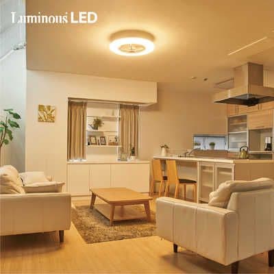 新品 ドウシシャDOSHISHA DCC-08CM シーリングファンライト 照明