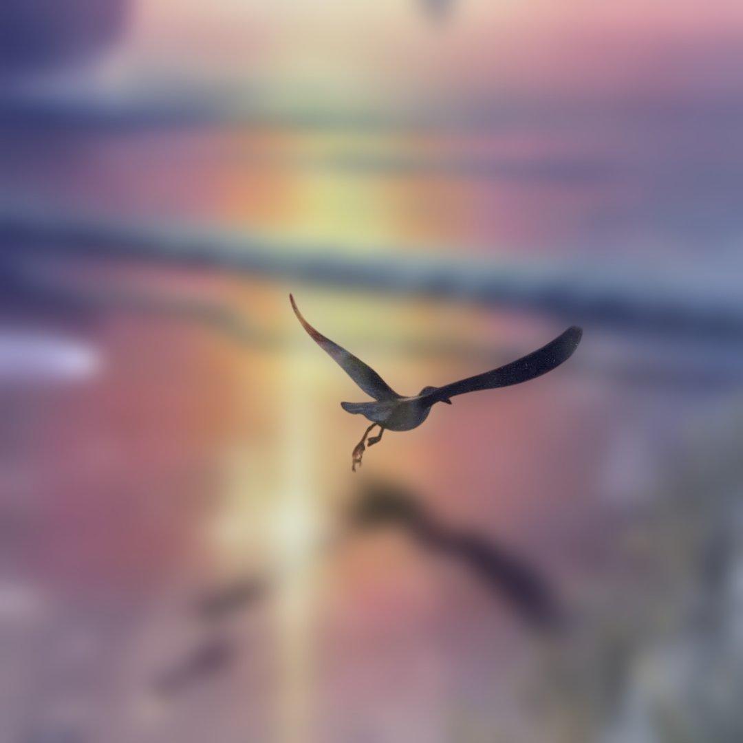 6354 カーク・レイナート「ラディアント・シーショー」サイン ◆ダイヤ2個付