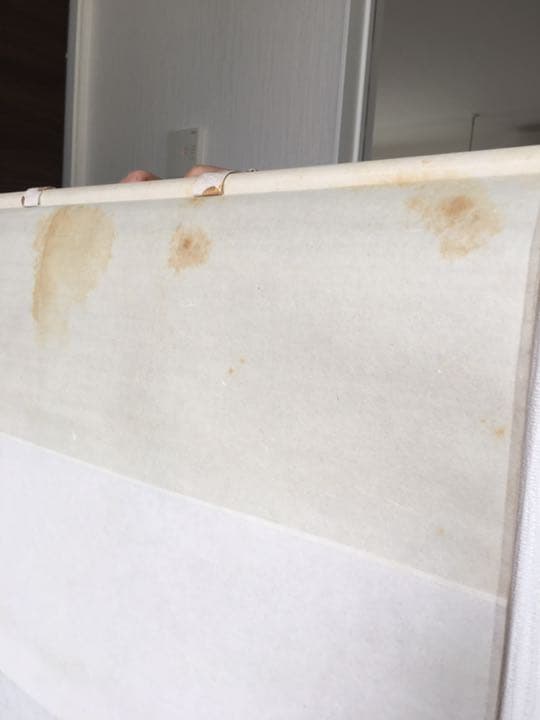 掛け軸 二匹鯉 岡田翠嶺定価64000円