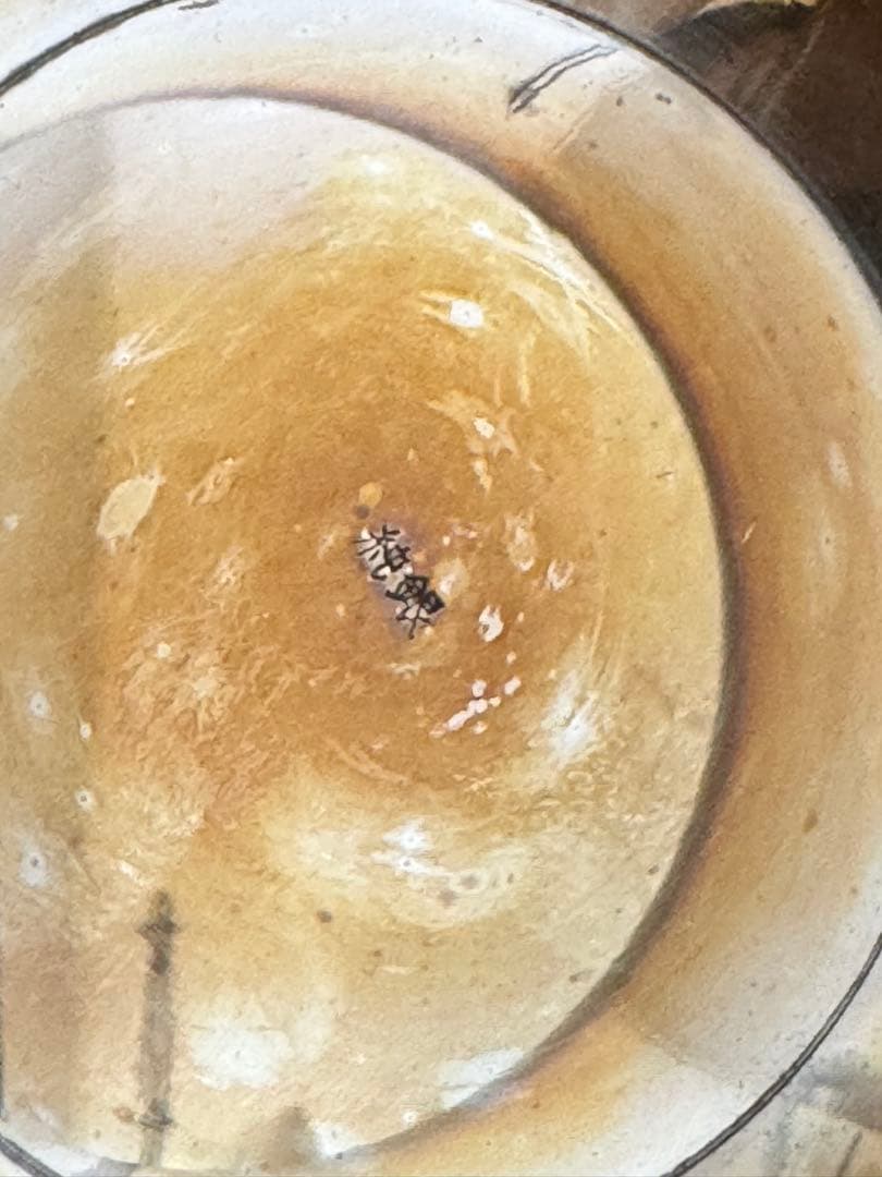 純銀 銀杯 重量321g