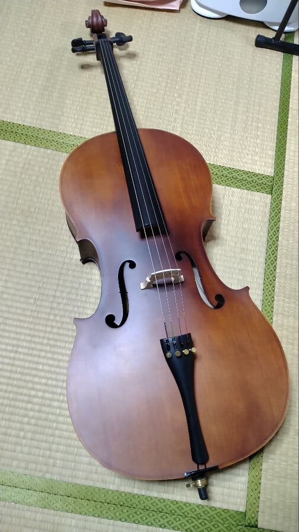 Hallstatt チェロ 初心者向け