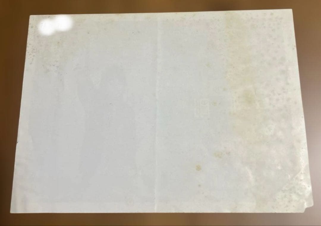 n*a様 非売品　長渕剛シングル　勇次告知ピンナップ