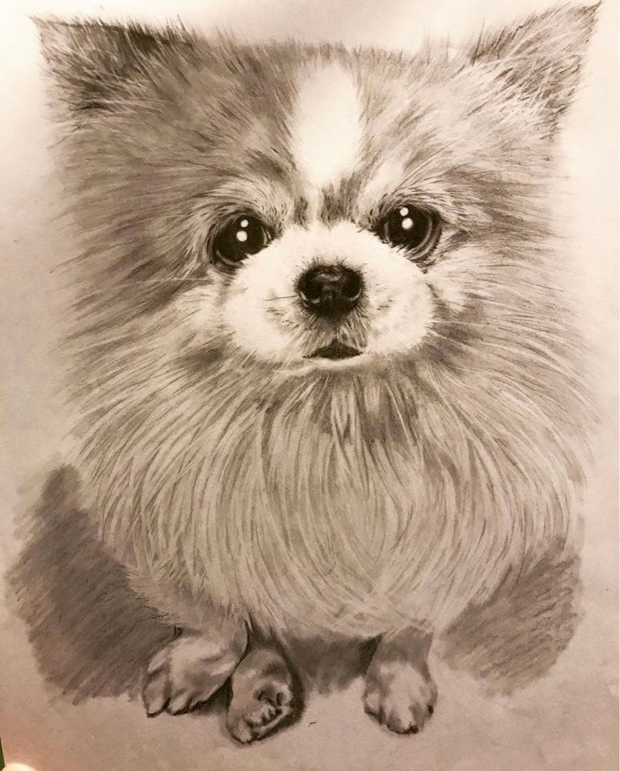 鉛筆画　オーダー画面