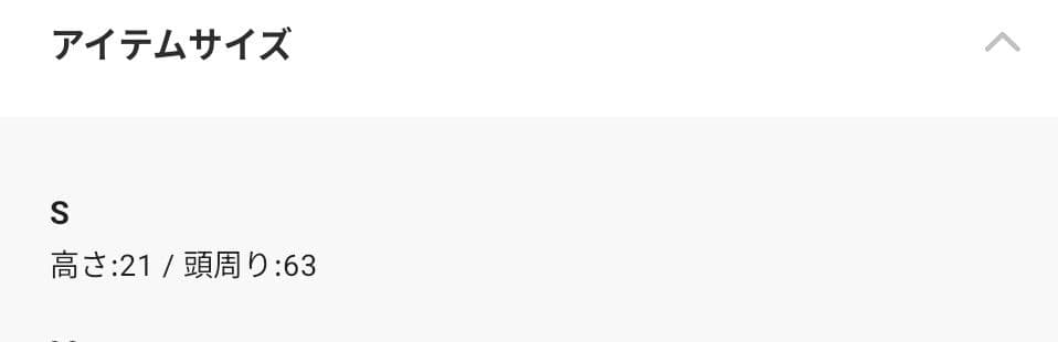 BASICKS ベイシックス BEAR BEANIE ベアビーニー 帽子