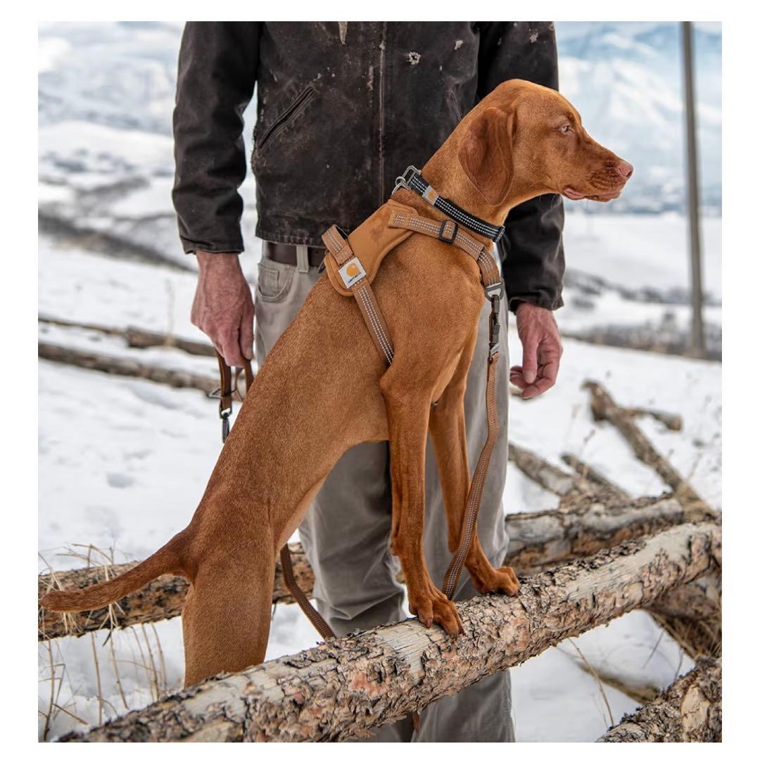 Carhartt(カーハート) No Pull DOGハーネス Mサイズ