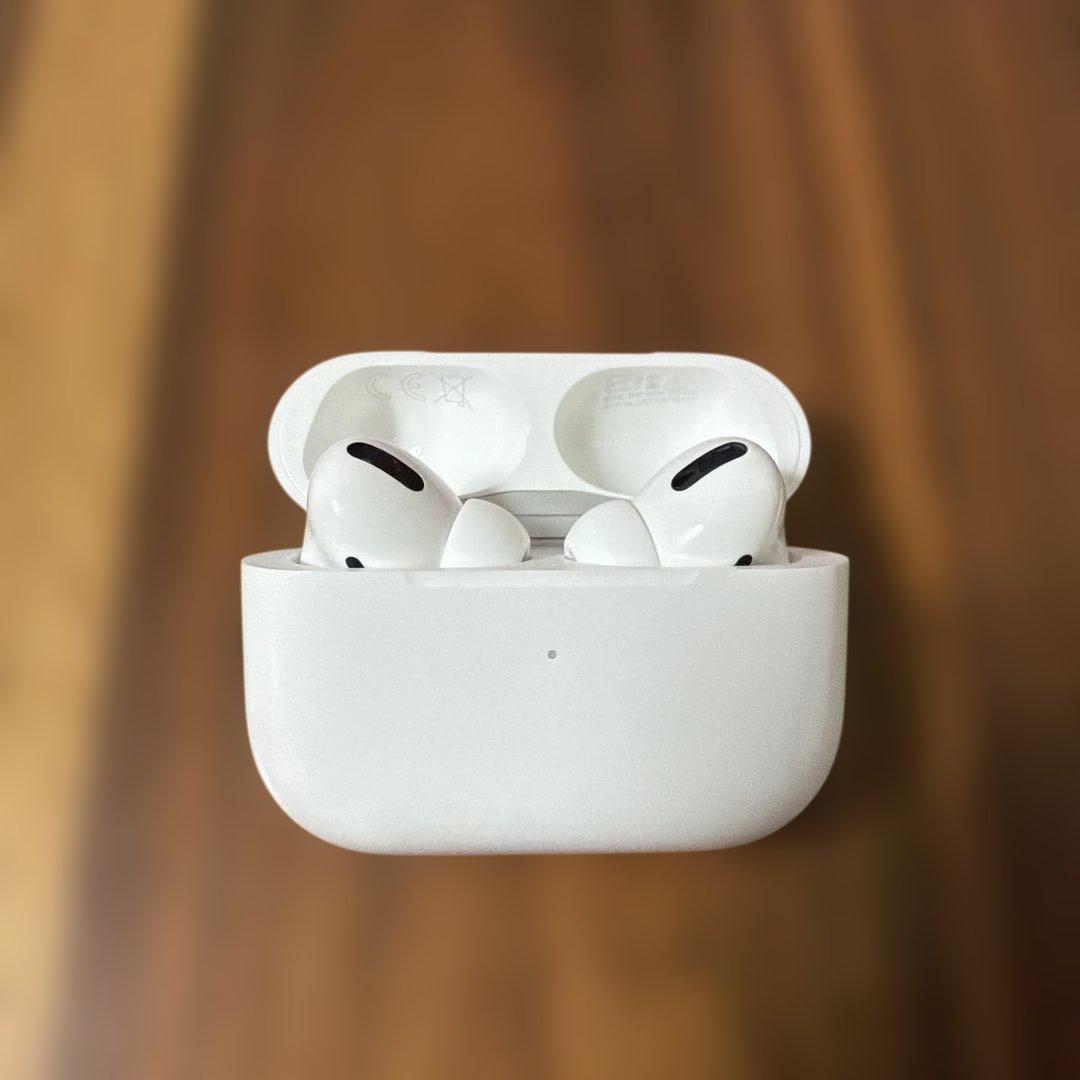AirPods Pro 第１世代 本体