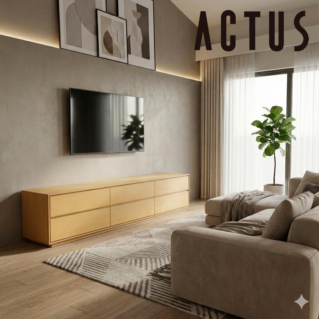 ru アクタス ACTUS ジョンリビング RIMO 2段　テレビボード