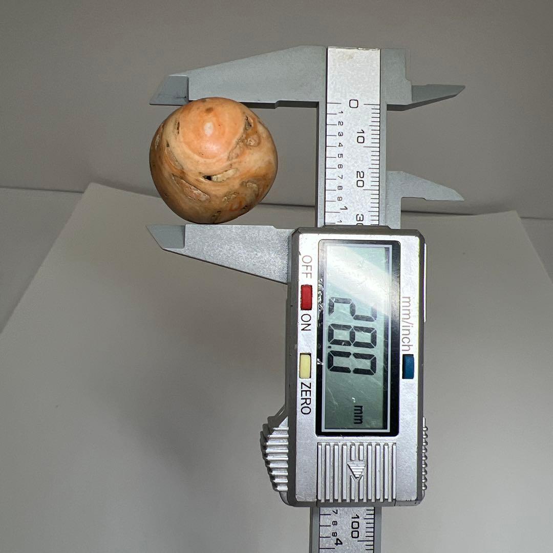 本赤珊瑚　特大　大玉　90g トヒサ　東さ7-1128☆2F