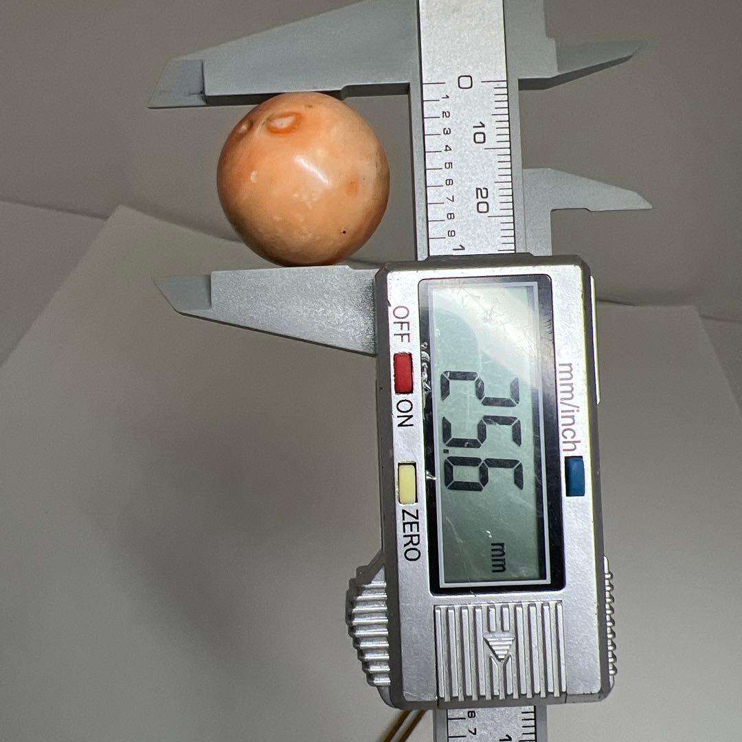 本赤珊瑚　特大　大玉　90g トヒサ　東さ7-1128☆2F