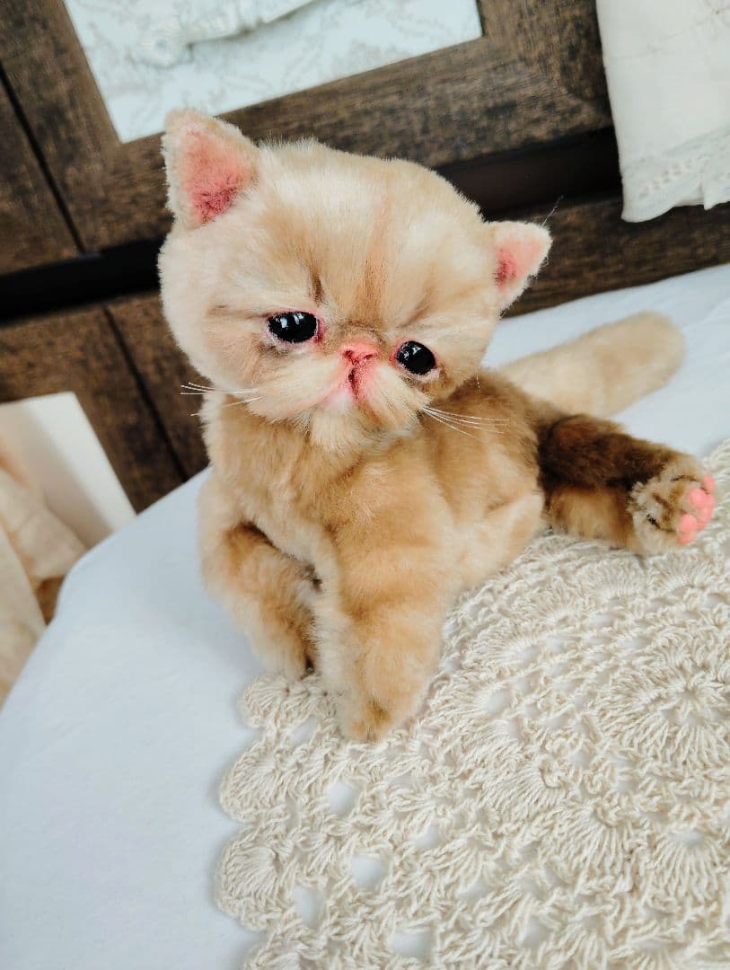 高級ファー♡エキゾチックショートヘア♡子猫のベルちゃん♡アートドール♡ぬいぐるみ