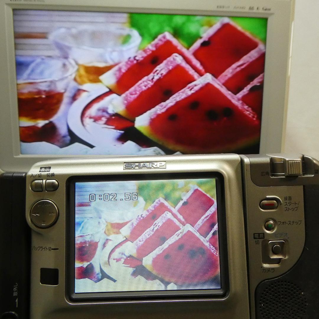 美品・動作良好　Video.Hi8 シャープ VL-HL80 8ミリビデオカメラ