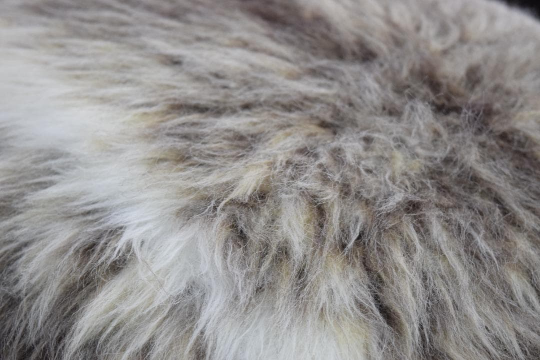 展示品 旭川家具 匠工芸 アニマルスツール Lサイズ