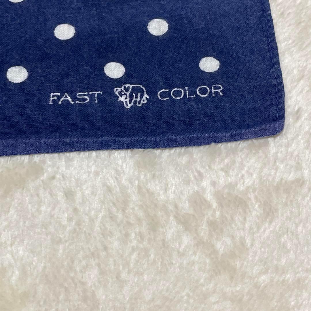 希少30s40s ポルガドット 下鼻 ゾウ 片耳 FAST COLOR