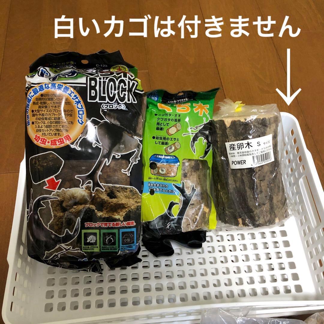 昆虫飼育　ケース　コバエシャッター　クリアスライダー　まとめ売り　おまけ多数あり
