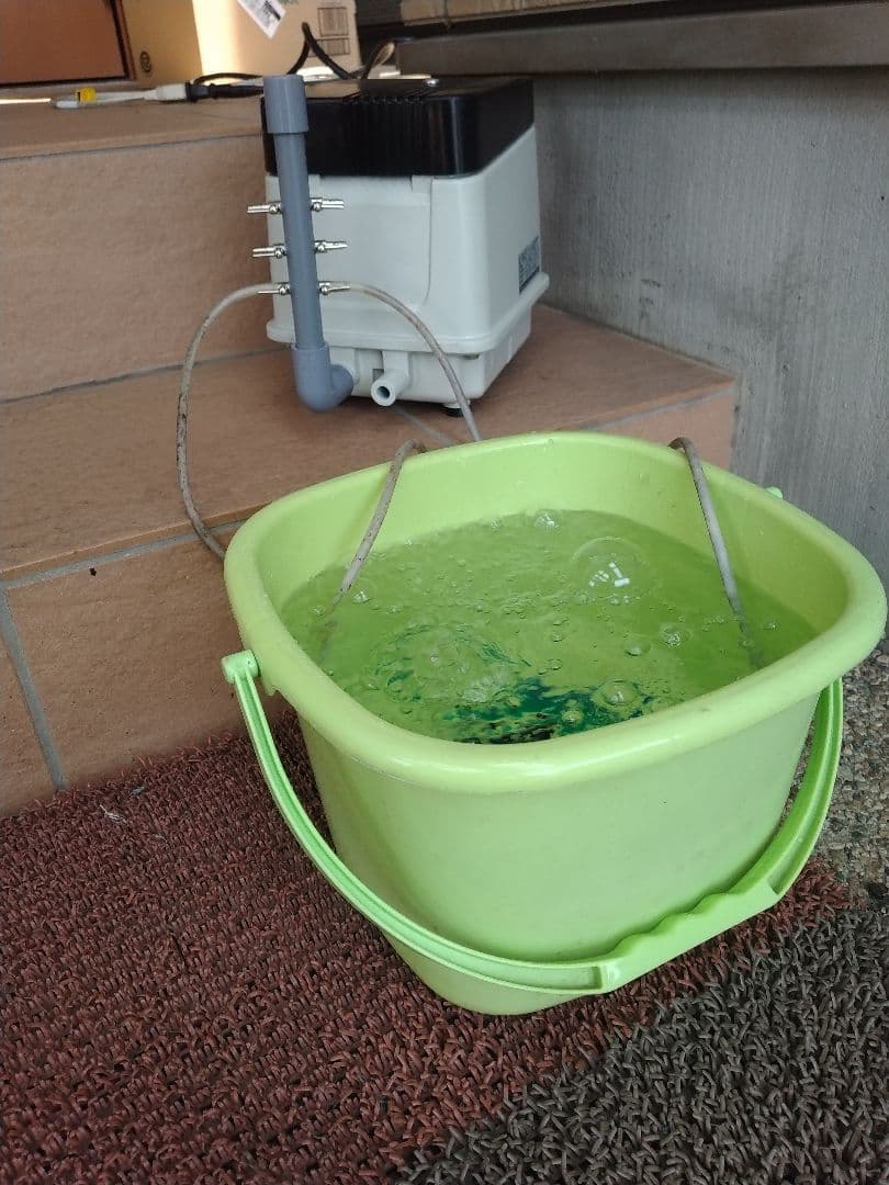 【安永(EP-80E-L)80L】889　エアポンプ　ブロワ　浄化槽