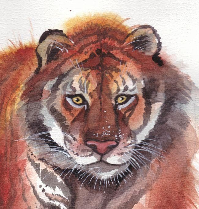 イラスト　原画　リーベド・マリーナ 「疾駆」