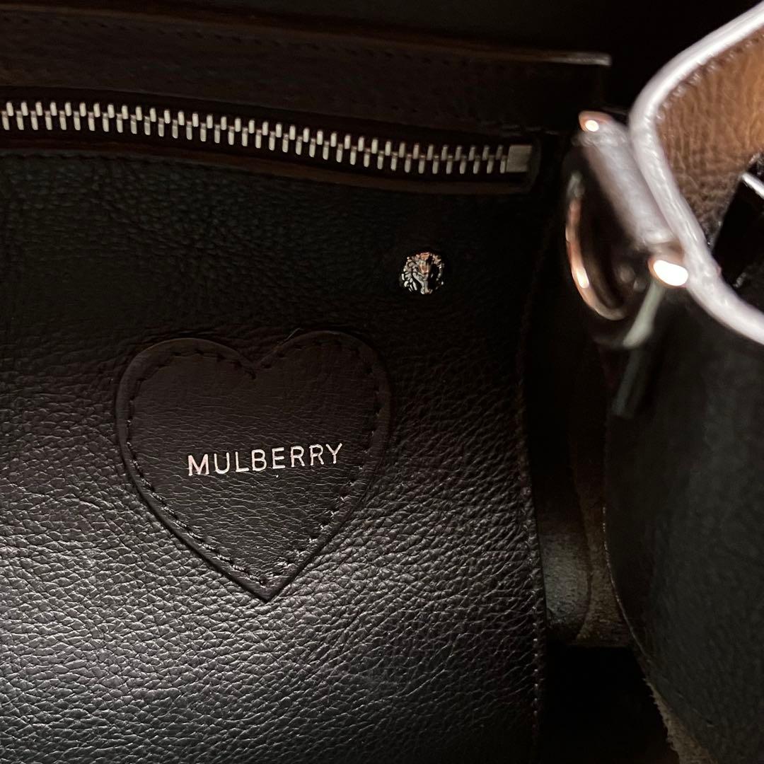 マルベリー×カーラ・デルヴィーニュ 3wayバッグ ベイズウォーター