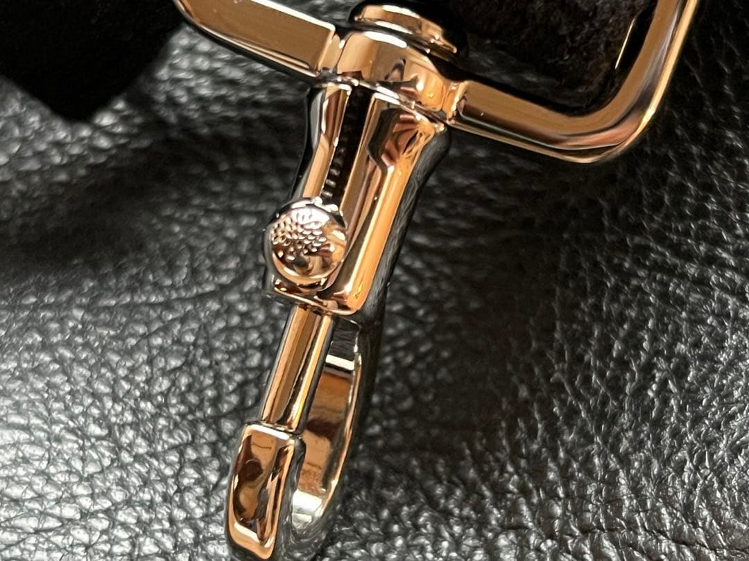 マルベリー×カーラ・デルヴィーニュ 3wayバッグ ベイズウォーター