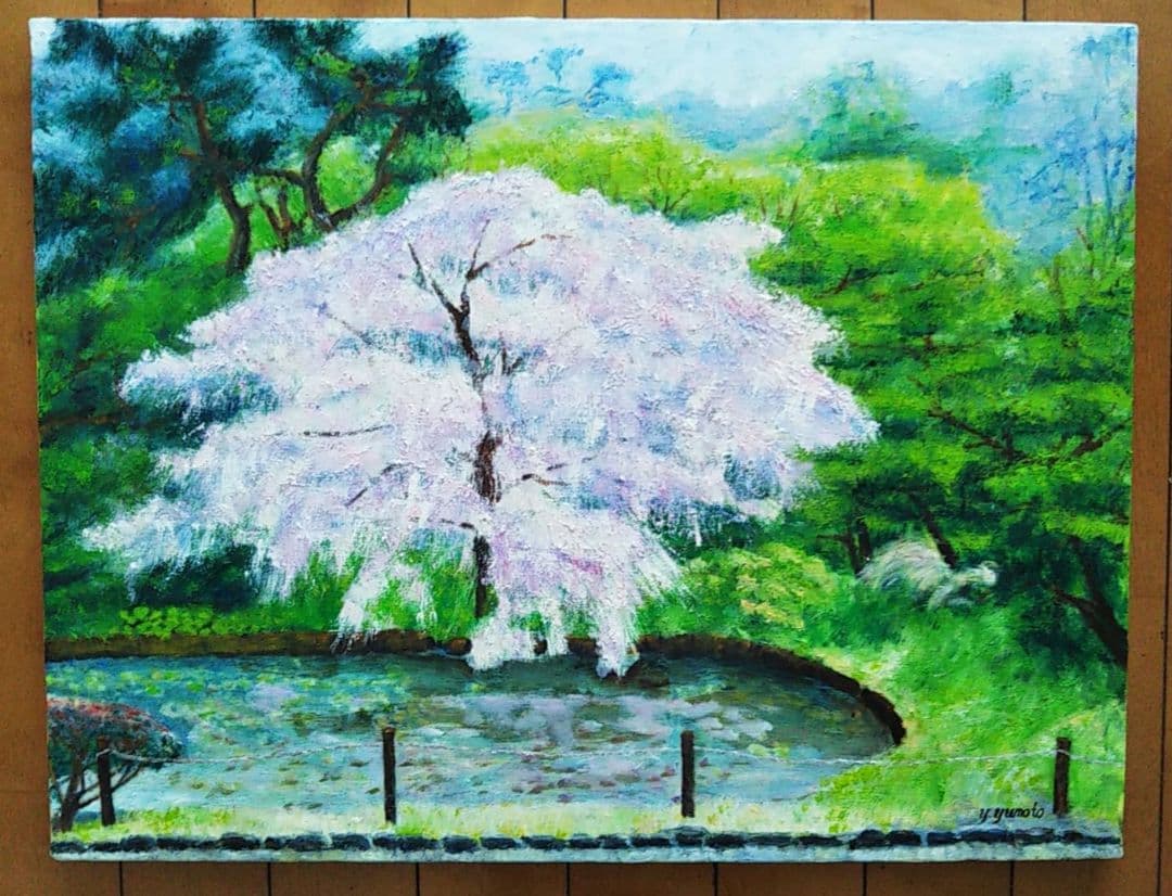 油絵 風景画 神奈川三渓園の枝垂桜【4月】P10