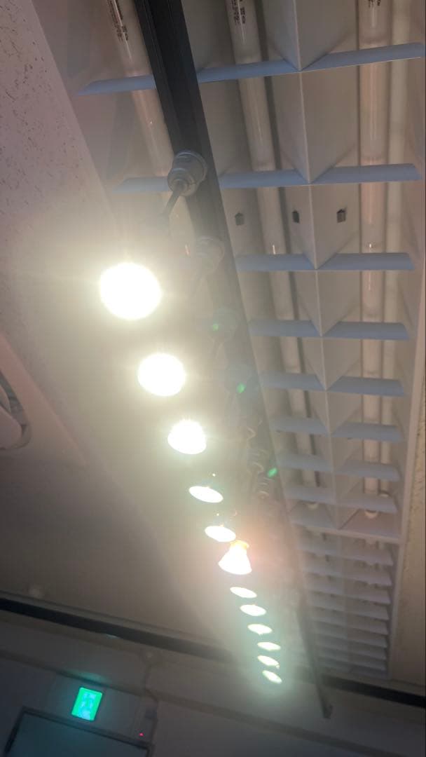 格安　スポットライト　電球付き　12セット