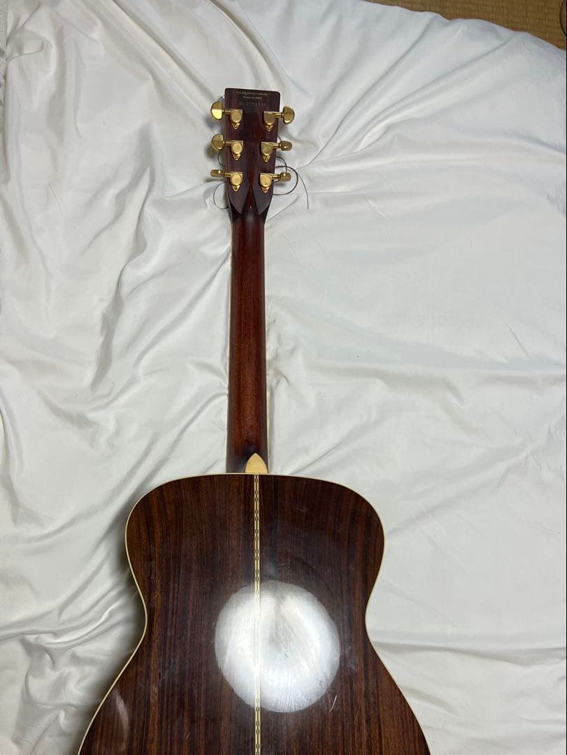 Morris TF アコースティックギター