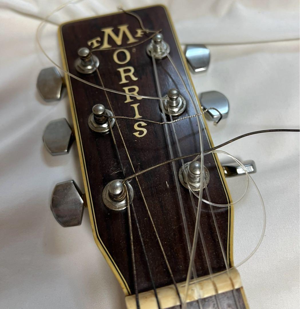 Morris TF アコースティックギター