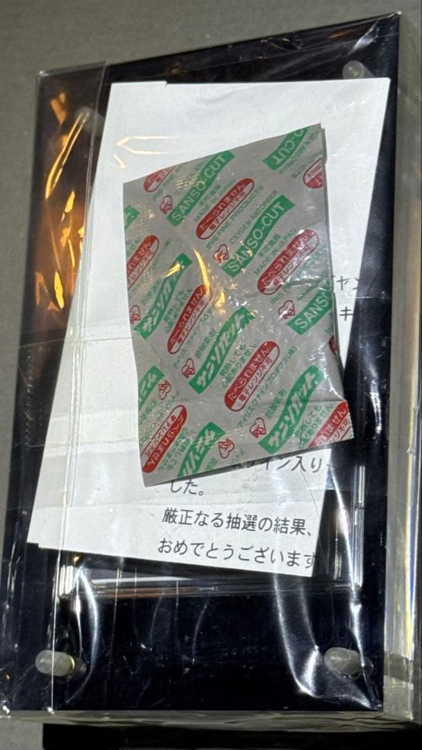 柏木由紀 さん 超激レア サンイン入 チェキ クレジットカード決済専用