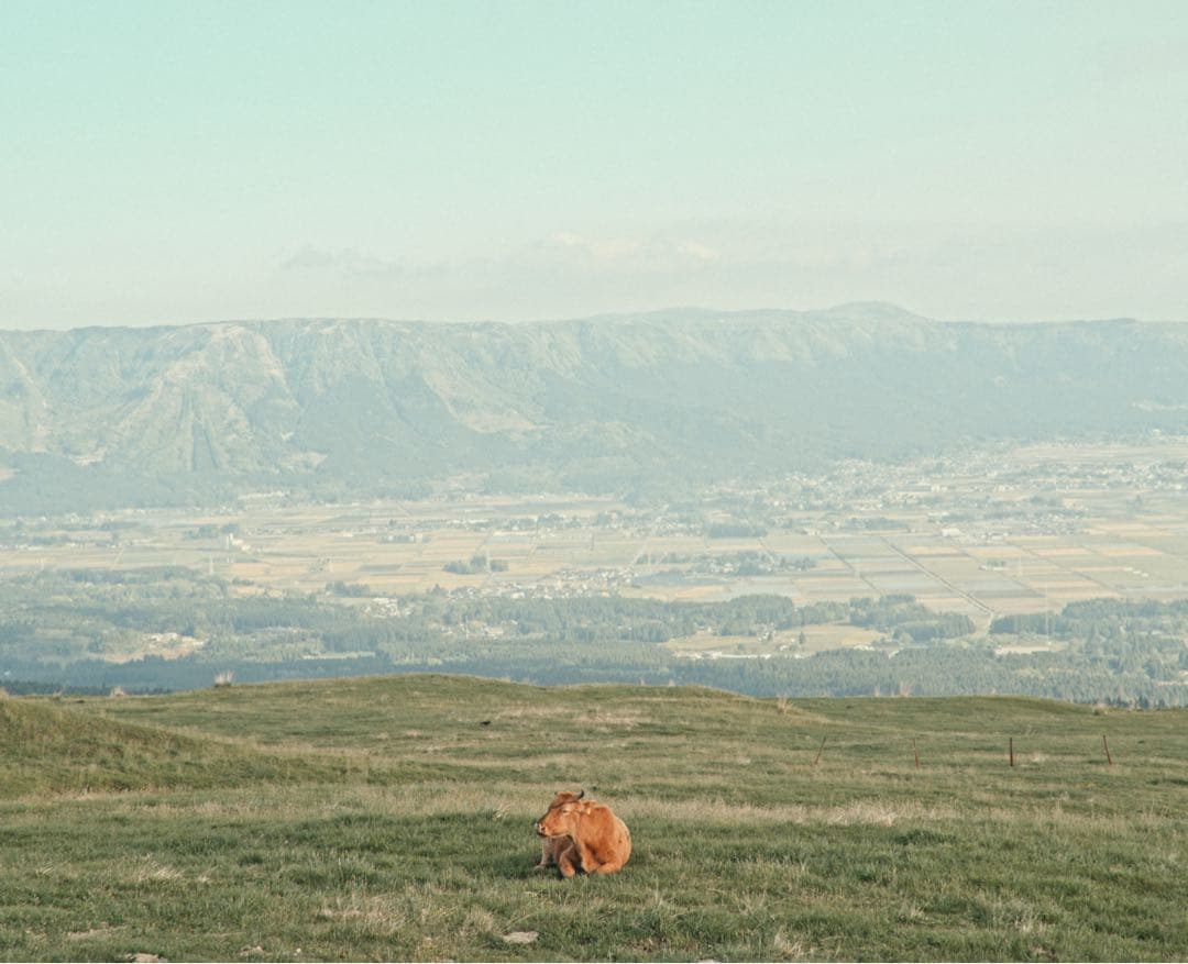 本日限定【極上品】PENTAX 67 6x7 90mm F2.8 GFXアダプタ