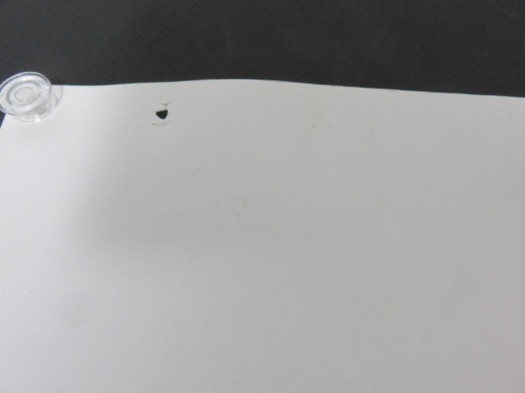 めぞん一刻■中吊り■ポスター■高橋留美子■ビッグコミックスピリッツ■12月30日