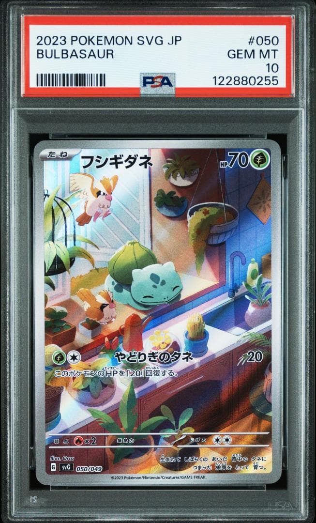 PSA10 3連番 御三家 フシギダネ ヒトカゲ ゼニガメ AR　②