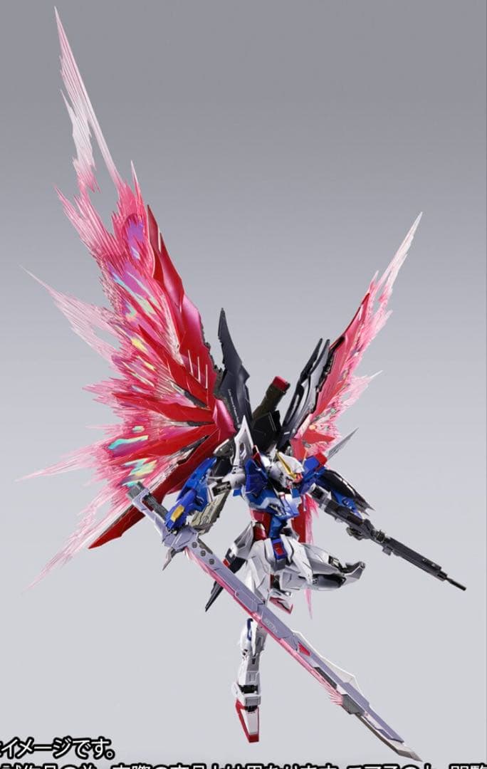 L BUILD デスティニーガンダム（フルパッケージ） [2024]