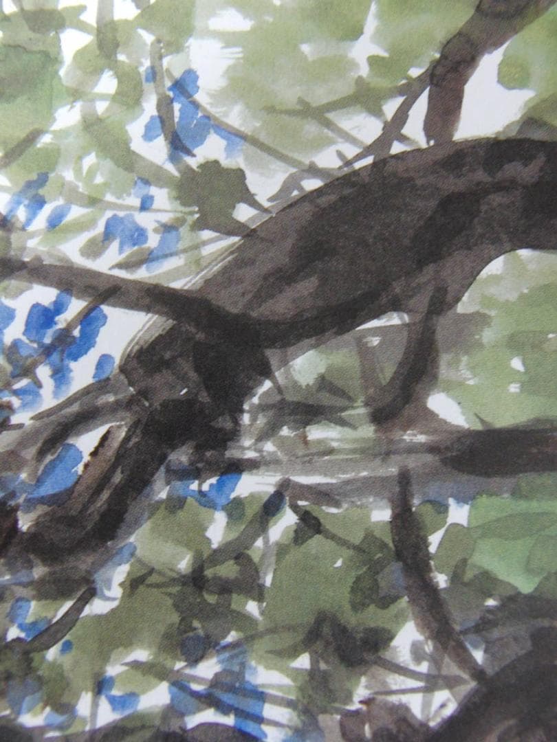 天野喜孝、【妖精シリーズ2008　ブルー】、希少な額装用画集より、状態良好