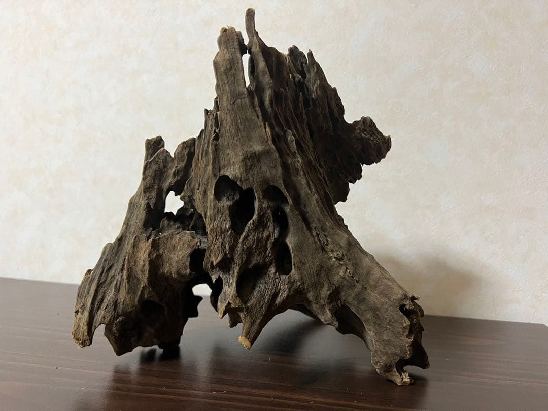 (XM-200) 流木　マシンガンウッド　アクアリウム　沈水確認済