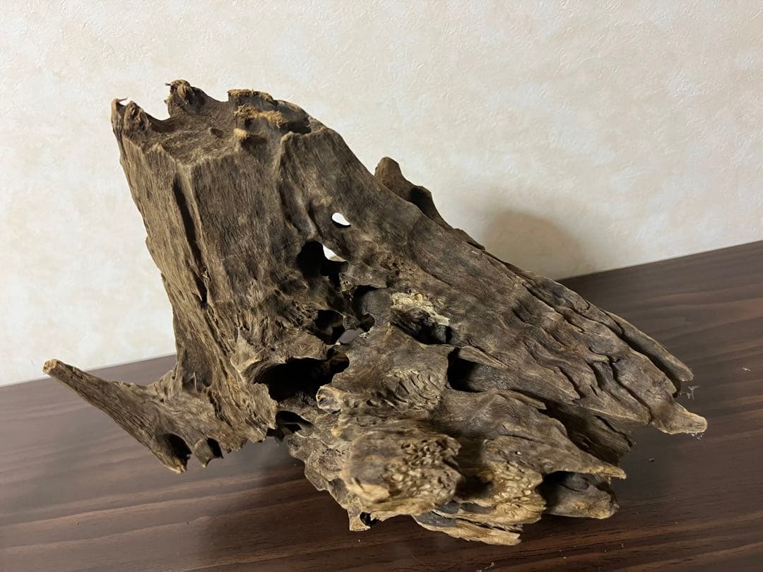 (XM-200) 流木　マシンガンウッド　アクアリウム　沈水確認済