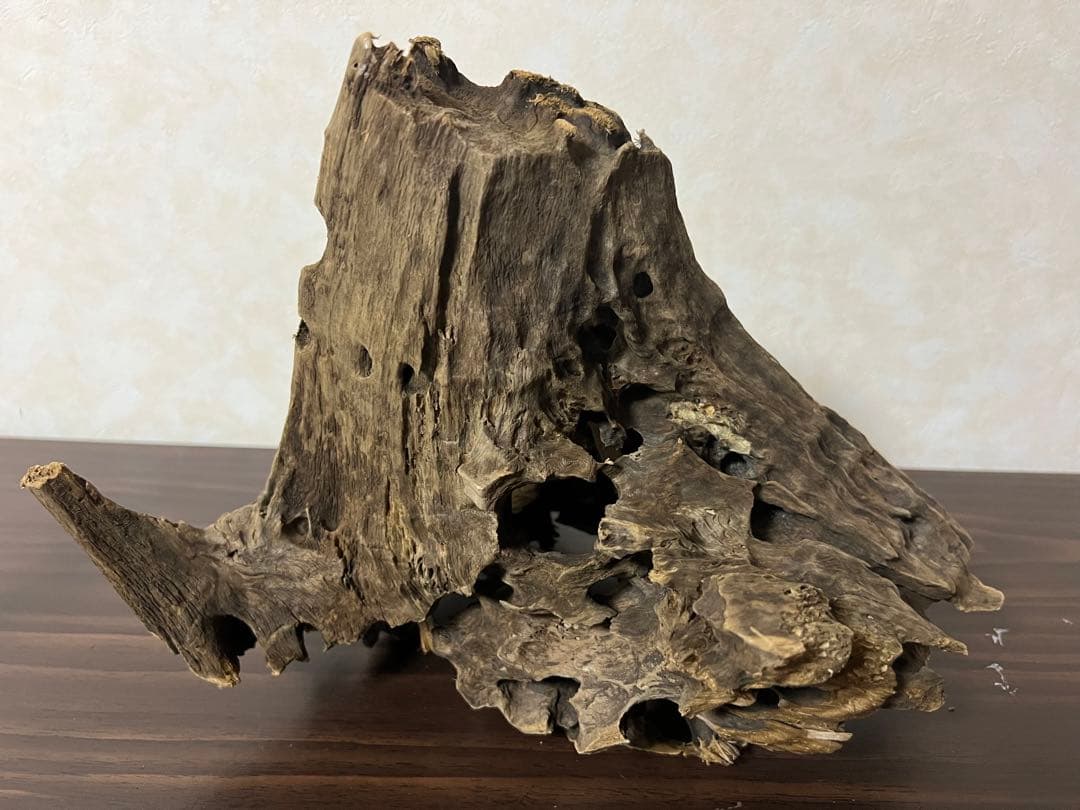 (XM-200) 流木　マシンガンウッド　アクアリウム　沈水確認済