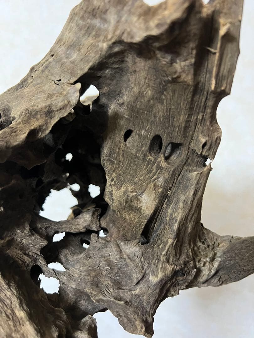 (XM-200) 流木　マシンガンウッド　アクアリウム　沈水確認済