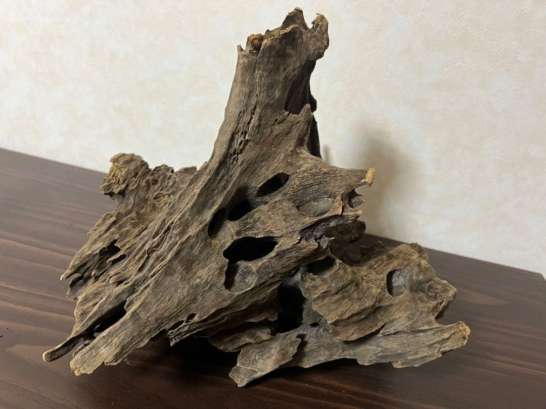 (XM-200) 流木　マシンガンウッド　アクアリウム　沈水確認済