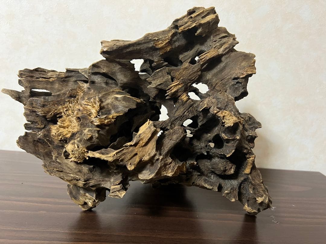(XM-200) 流木　マシンガンウッド　アクアリウム　沈水確認済