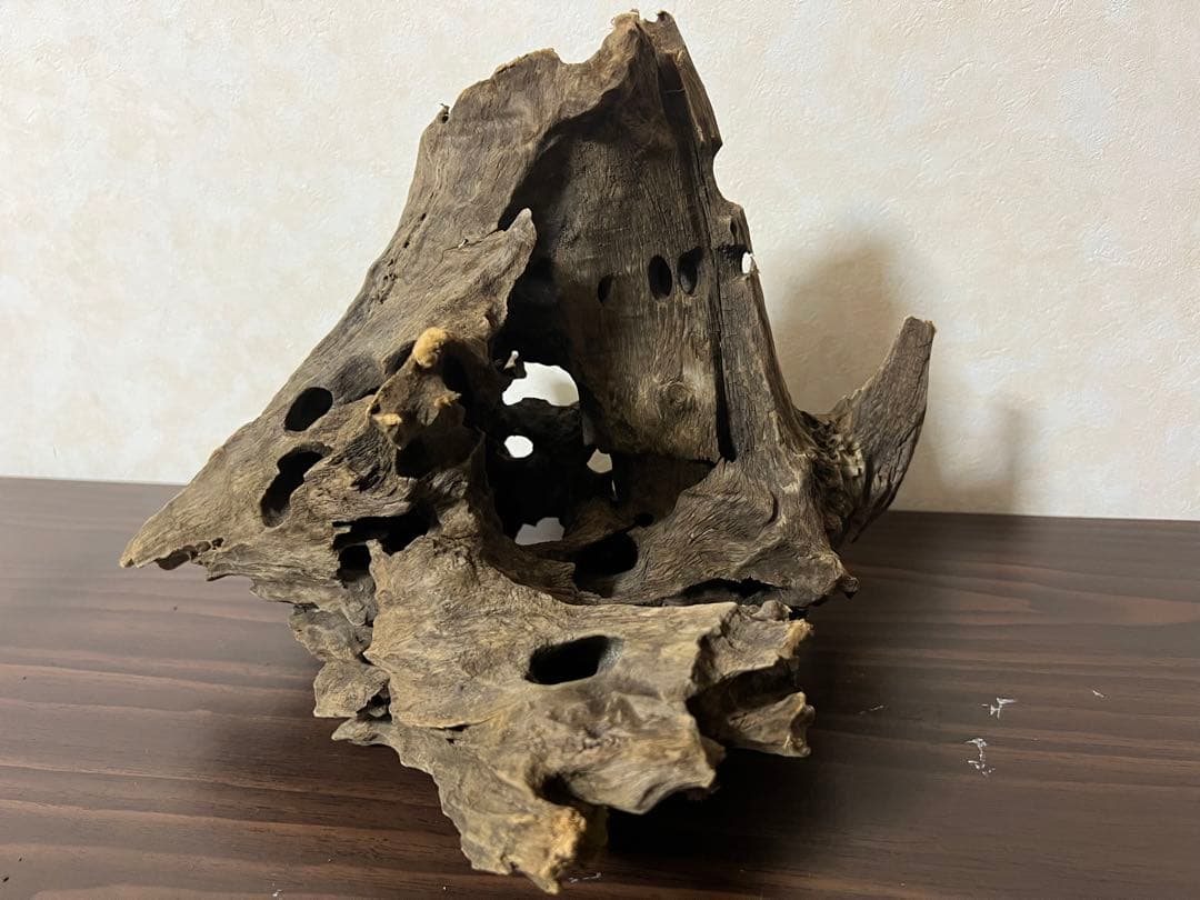 (XM-200) 流木　マシンガンウッド　アクアリウム　沈水確認済