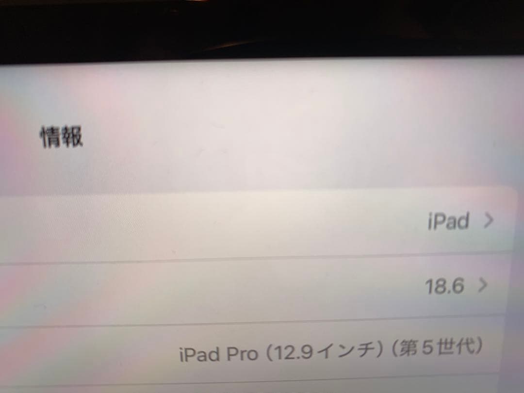 iPad Pro 第五世代　12.9インチ　シルバー　1TB
