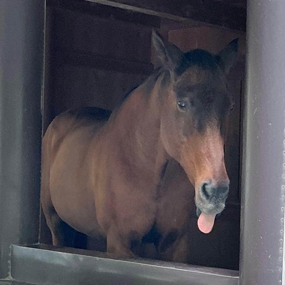 糸魚川翡翠　土倉沢　勾玉　1点のみ‼︎