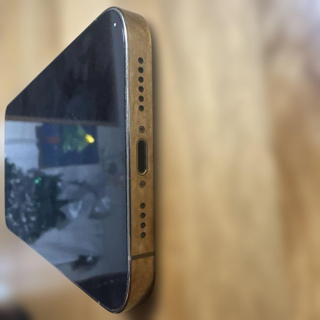 Apple iPhone 12pro max 本体