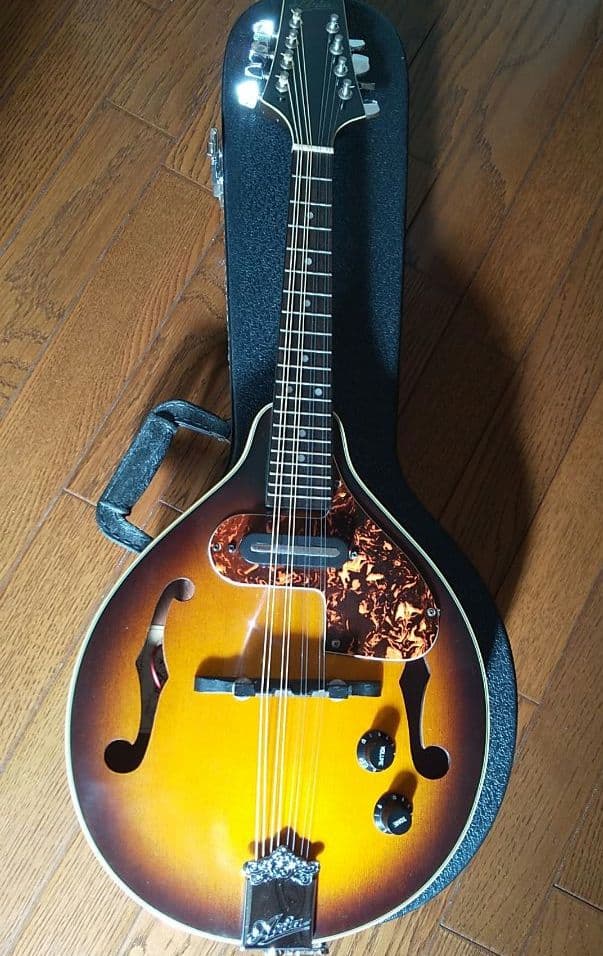 フラットマンドリン アリアAM-200E