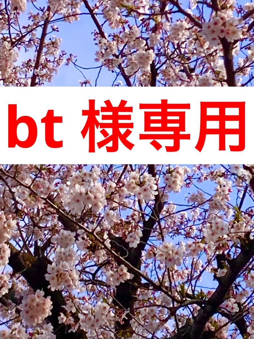 ミュージシャン bt