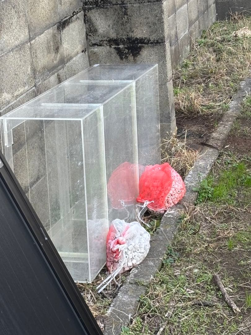 たっこさん専用　濾過層